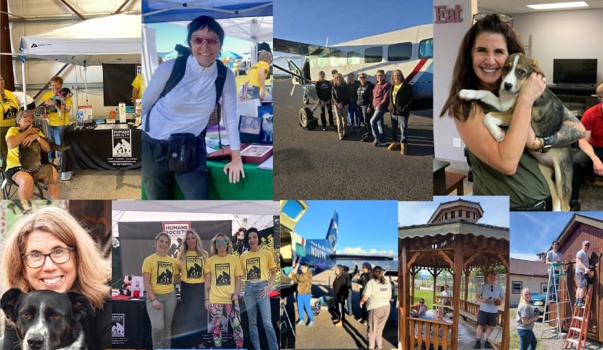 The Sound of a Leash—and the Joy of Helping Shelter Animals Find Homes